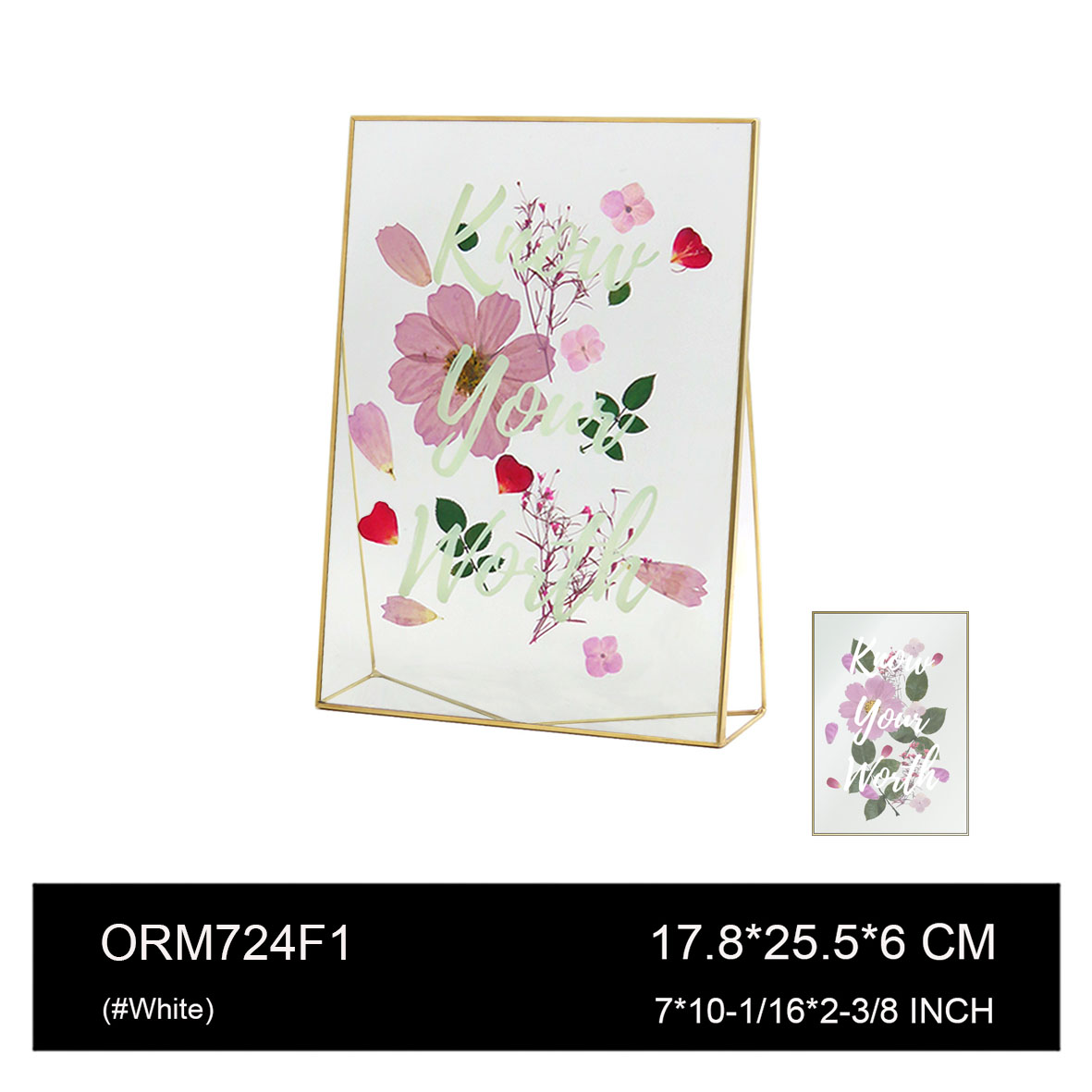 ORM724F1